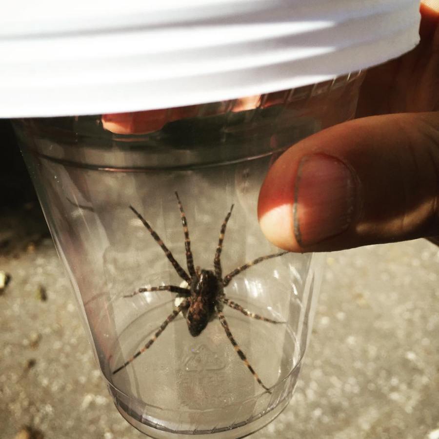 Instagram / @mtness22