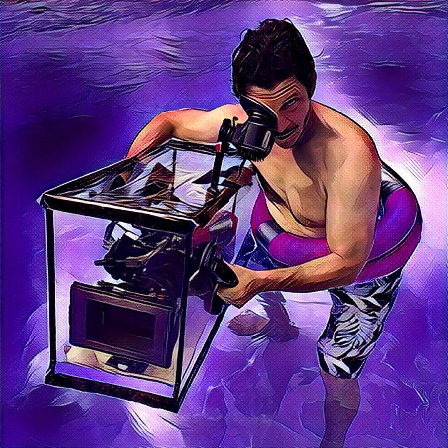 13721163_764860523656169_575032051_n