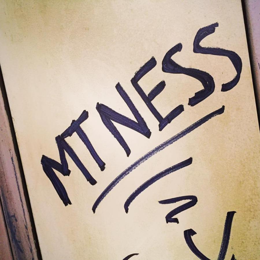 13651826_1259967240700536_1994917616_n